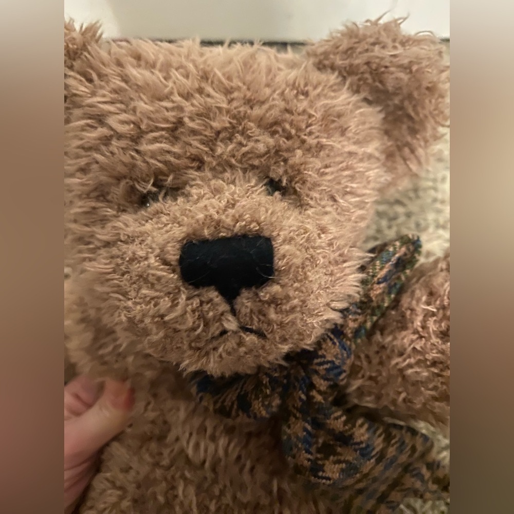 Vintage Boyds Bears & Friends "Webber Vanguard" Stuffed Bear #51100-07 - Picture 3 of 10